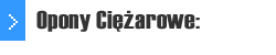 opony ciężarowe